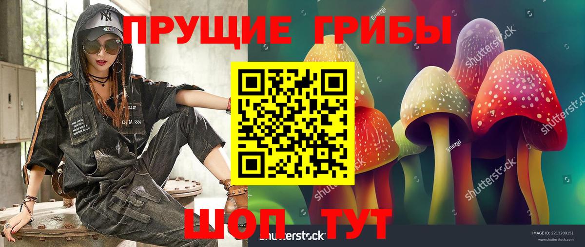 купить закладку  Галлюциногенные грибы Magic Shrooms  Вход с VPN  Кызыл 