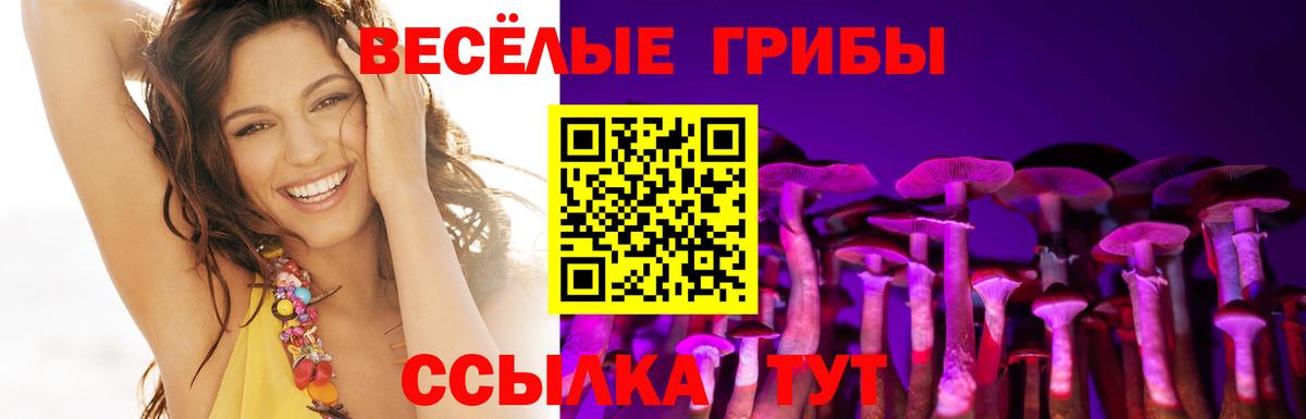 Галлюциногенные грибы Magic Shrooms Кызыл